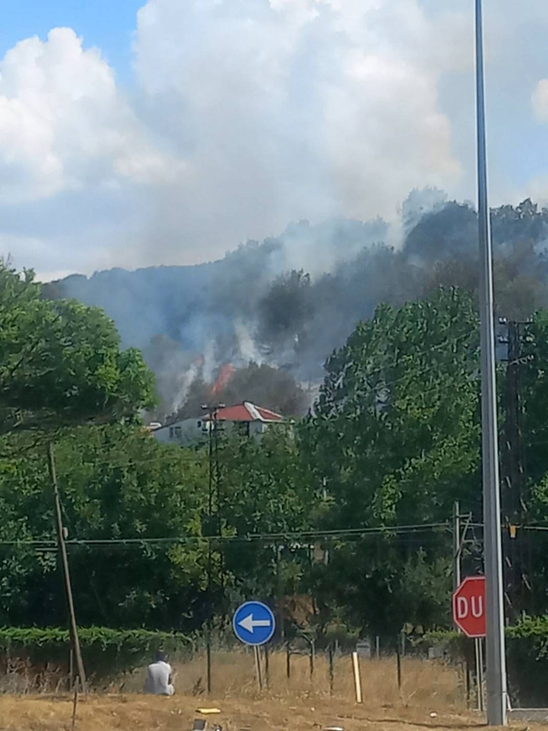 Bilecik'te orman yangını! Havadan ve karadan müdahale ediliyor 1